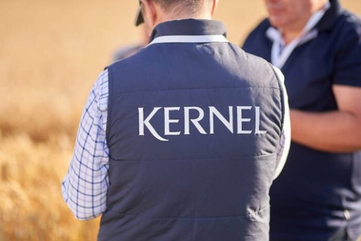 Kernel vs «Сенс Банк»: чому позов на 1,75 млрд грн опинився саме у судді Погрібної