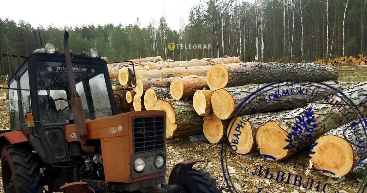 Тендерна лихоманка на мільярд: як черкаський бізнесмен побудував лісову імперію на "паперовій" фірмі