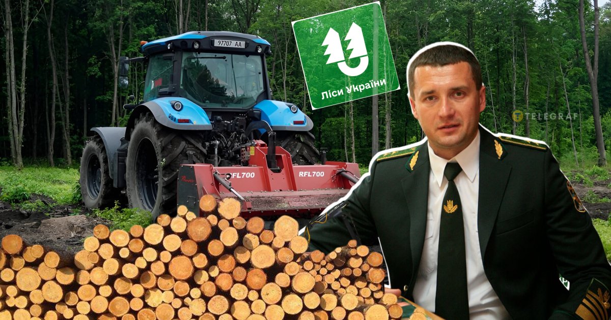 Майстер лісових схем: як за Болоховця з держбюджету "вирубали" мільярди