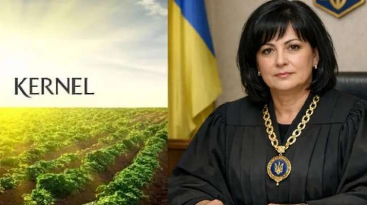 Можлива змова навколо «Сенс Банку» та звільнення сина судді Погрібної: нові подробиці справи Kernel на 1,75 млрд грн