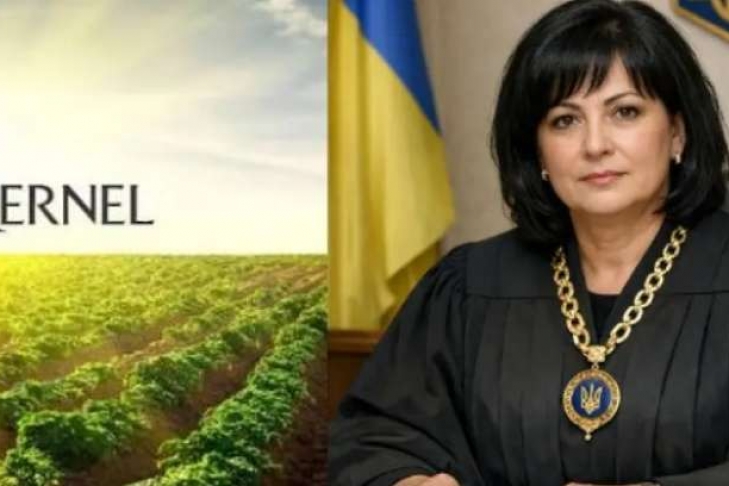 Ризики у справі Kernel на 1,75 млрд грн: можлива змова з «Сенс Банком» і звільнення сина судді Погрібної