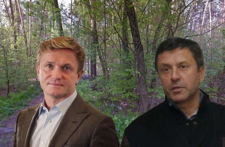 Столична прокуратура намагається забрати в оточення Івахіва-Пилипишина 7,8 га  лісу