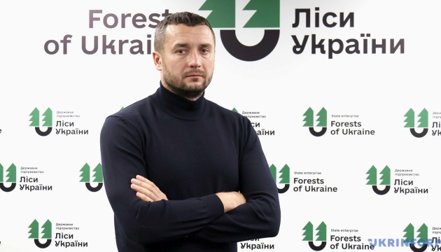 Головний лісоруб України Болоховець під прикриттям держави продовжує красти мільярди на деревині та фортифікації