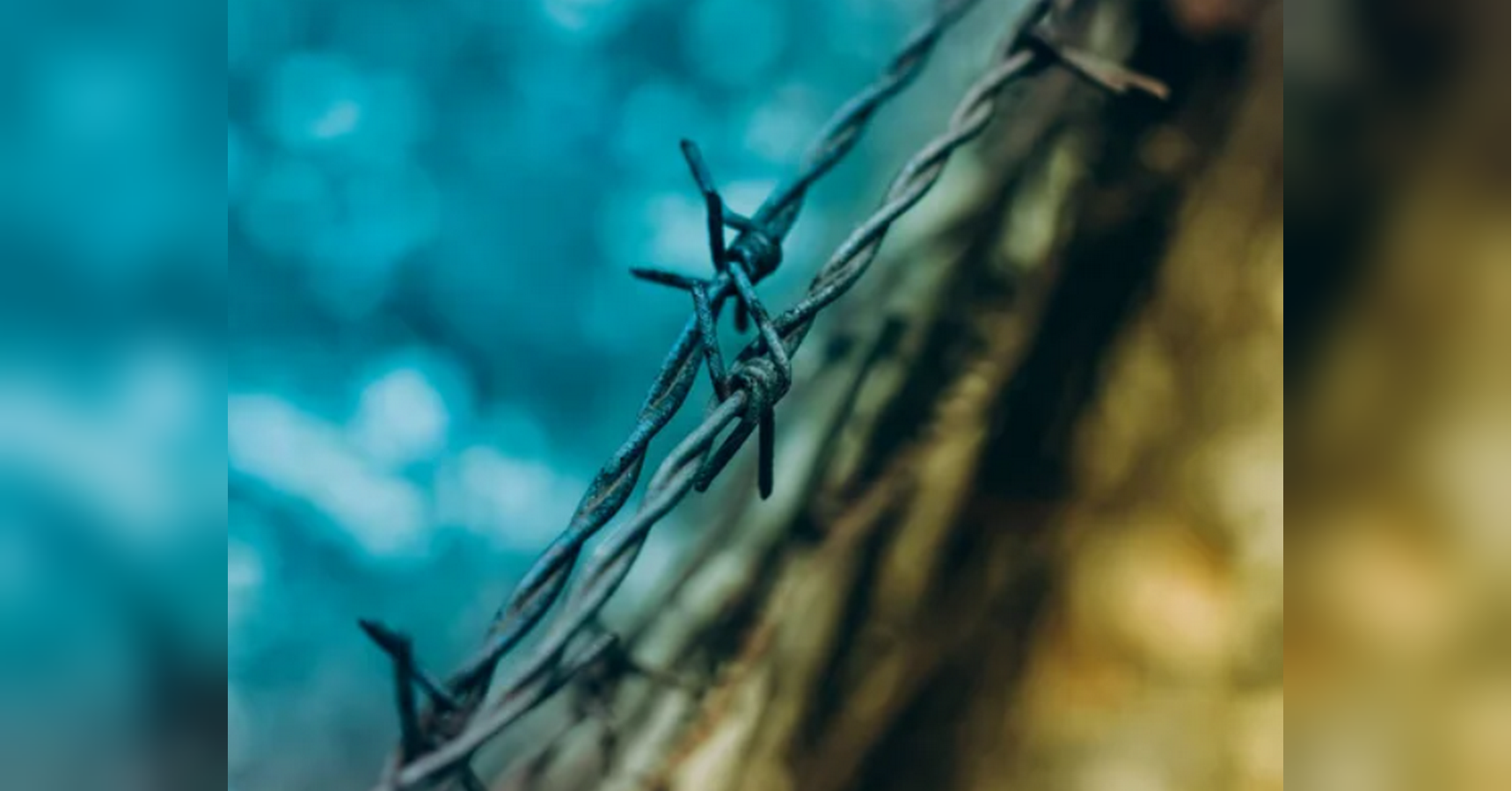 Russia Replenishes Its Forces with Ukrainian Prisoners: Shocking Details