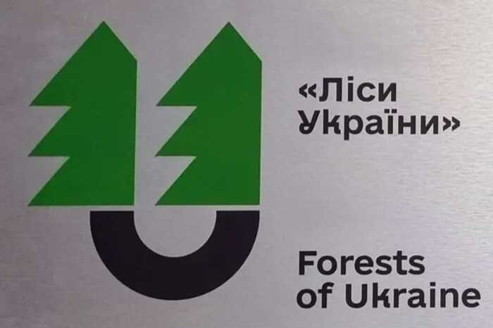 «Ліси України» спрямують 1,92 мільйона гривень на підбір нового генерального директора
