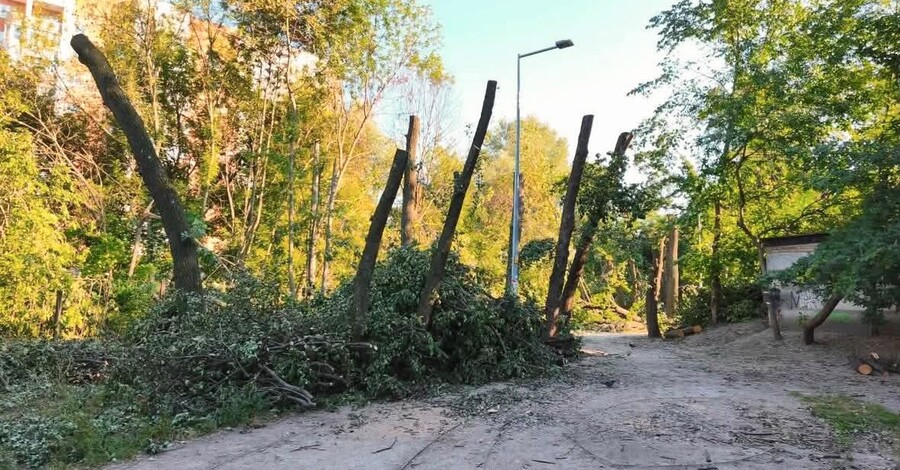 Два проєкти, План стійкості та вікові дуби - до чого призведе скандал на Теремках