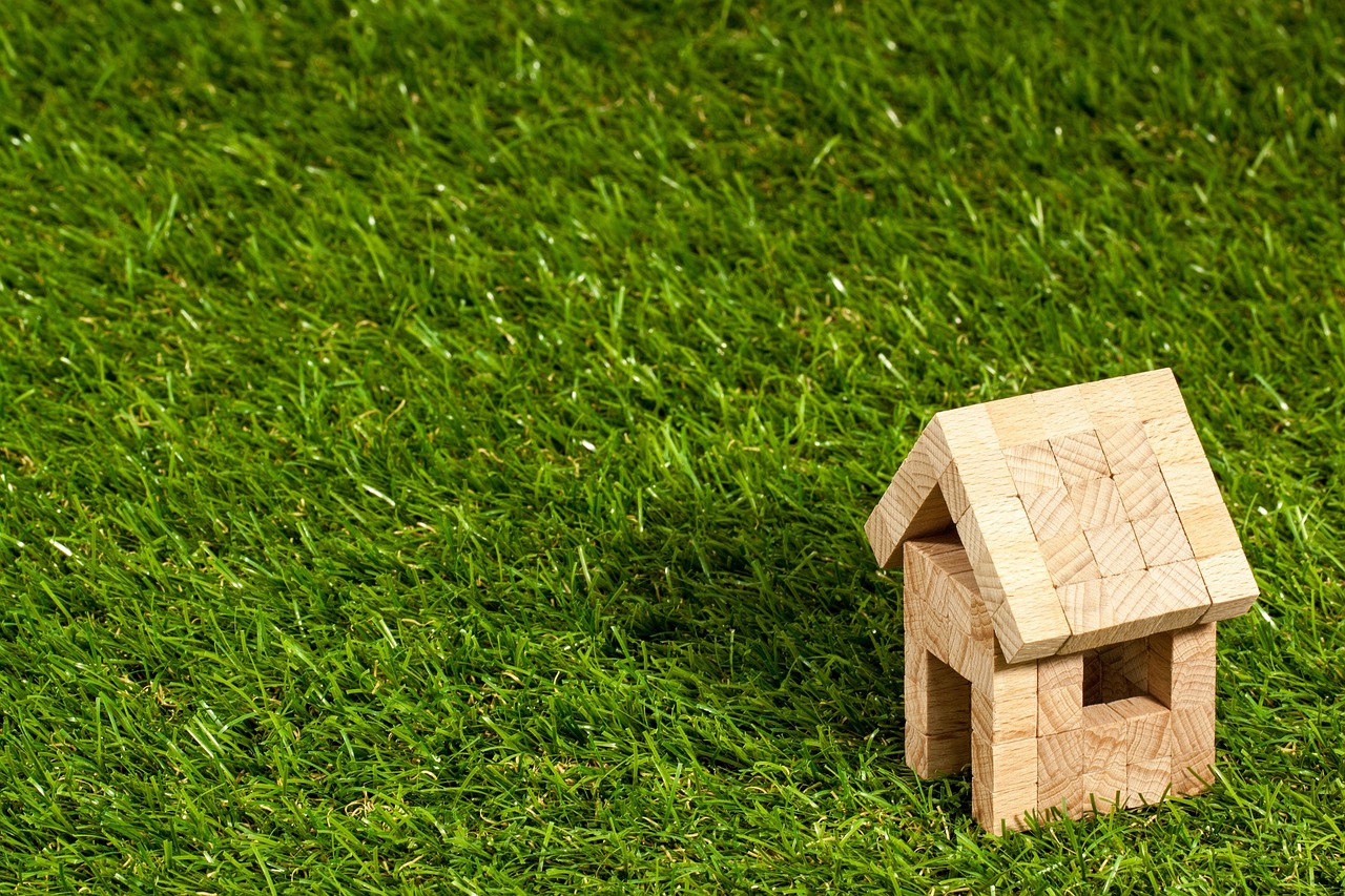 Houses in Wives' and Mothers' Names: How MPs Acquired Real Estate