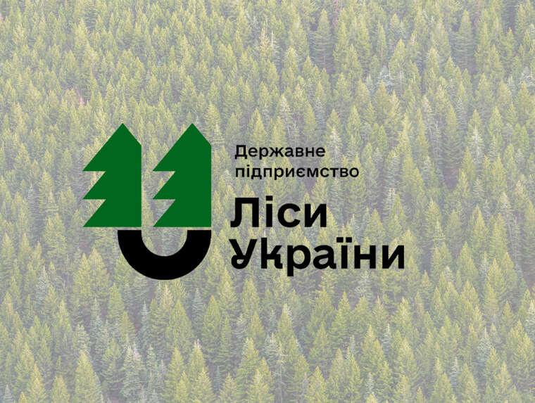 «Ліси України» стали «жирним кабанчиком» для оточення Зеленського, - Ніколов