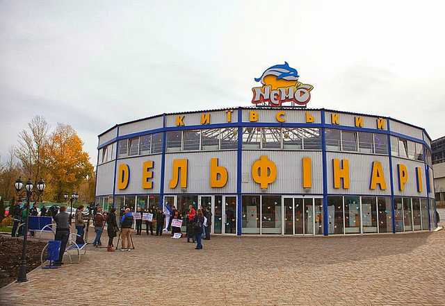 Власники дельфінаріїв «Немо» скорочують бізнес в Україні, а нарощують в окупованому Криму й РФ