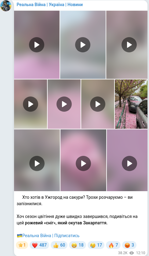 Telegram publication screenshot