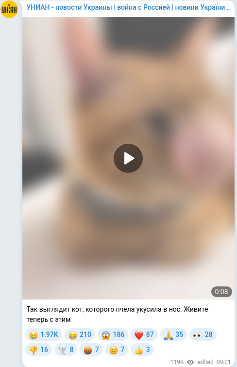 Скріншот Telegram-публікації