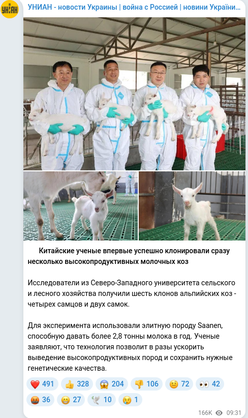 Telegram publication screenshot