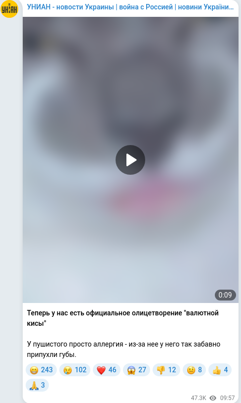 Telegram publication screenshot