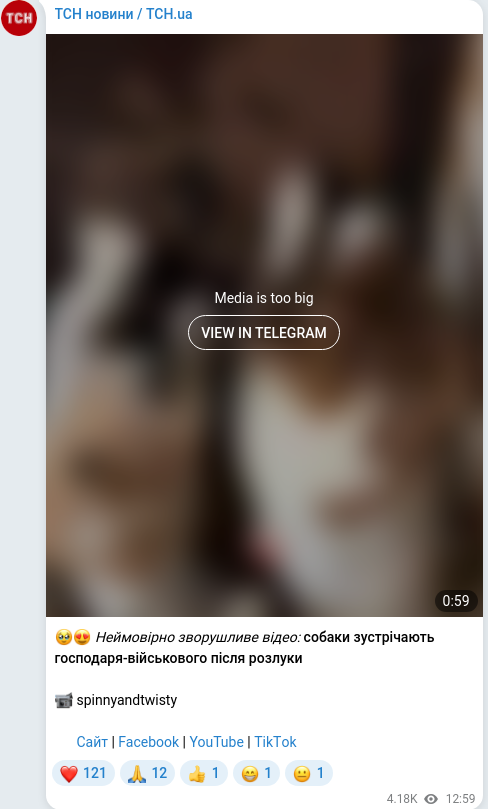 Telegram publication screenshot