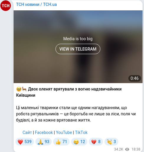 Telegram publication screenshot