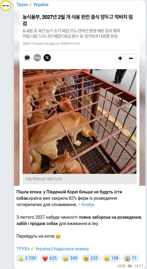 Telegram publication screenshot