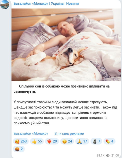 Telegram publication screenshot