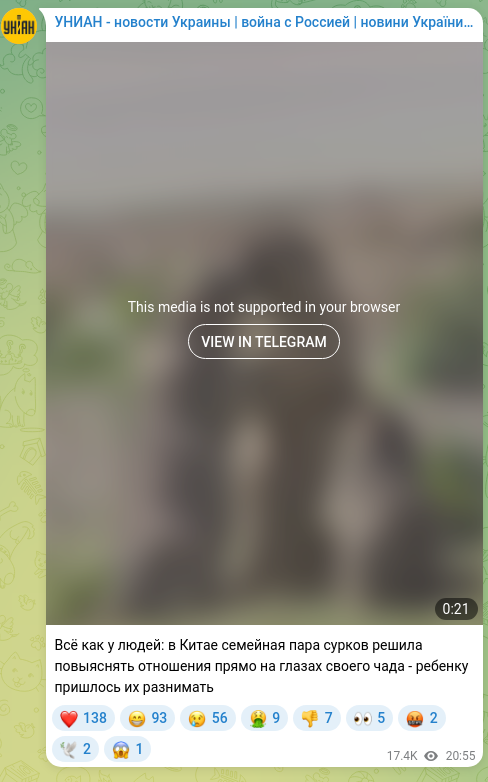 Скріншот Telegram-публікації: Всё как у людей: в Китае семейная пара сурков решила повыяснять отношения прямо…