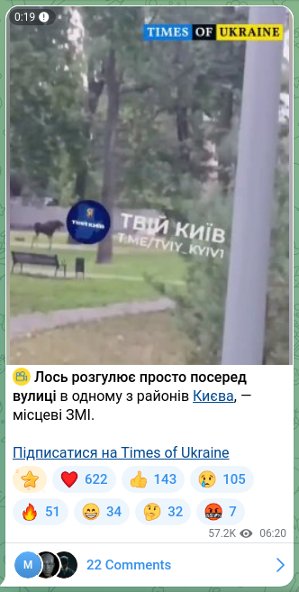 Скріншот Telegram-публікації: ⚡ Лось розгулює просто посеред вулиці в одному з районів Києва, — місцеві ЗМІ.…