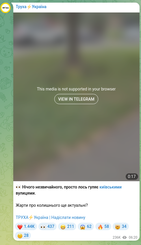 Скріншот Telegram-публікації: 👀 Нічого незвичайного, просто лось гуляє київськими вулицями. Жарти про колишн…
