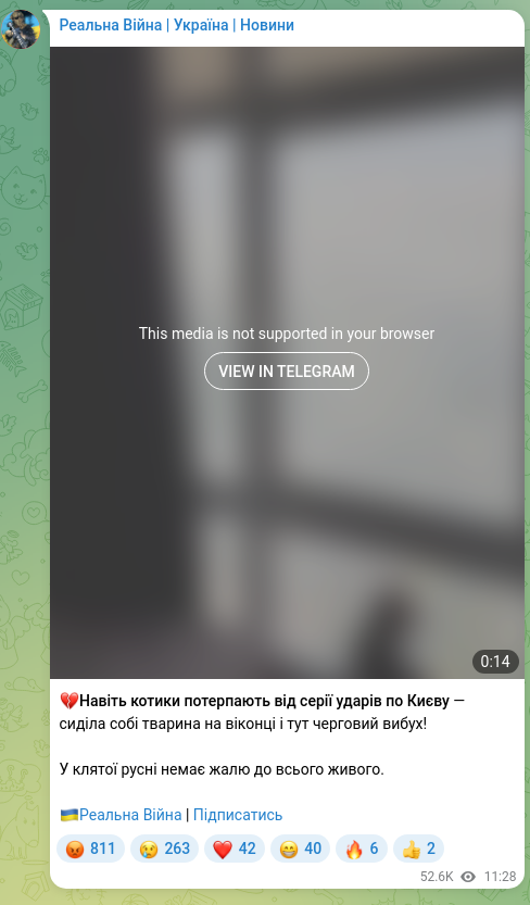 Скріншот Telegram-публікації: 💔Навіть котики потерпають від серії ударів по Києву — сиділа собі тварина на в…