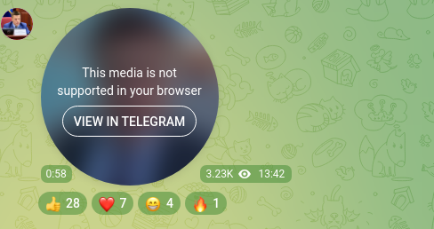 Screenshot of a Telegram post: ГОНЧАРЕНКО