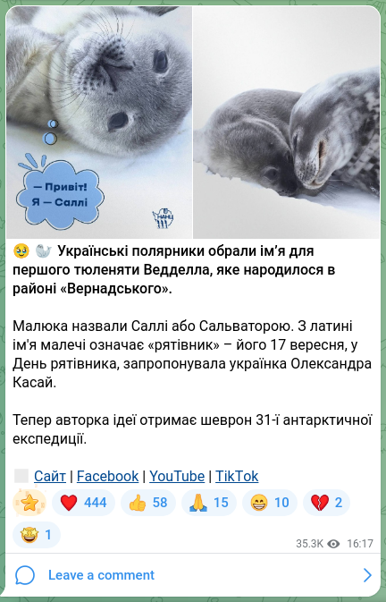 Screenshot of a Telegram post: 🥹🦭Ukrainian polar researchers have chosen a name for the first Weddell seal p…