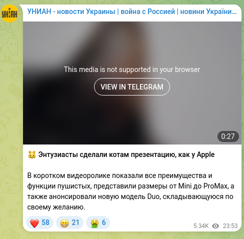 Скріншот Telegram-публікації: 🐱 Энтузиасты сделали котам презентацию, как у Apple В коротком видеоролике пок…