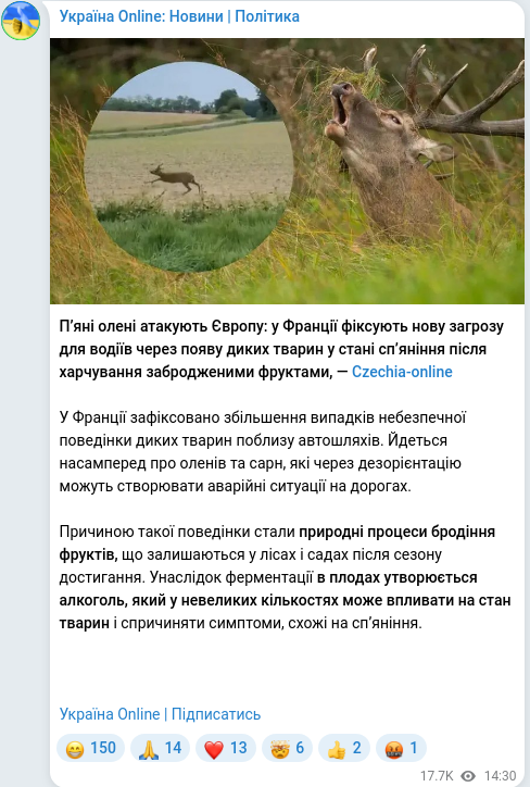 Скріншот Telegram-публікації