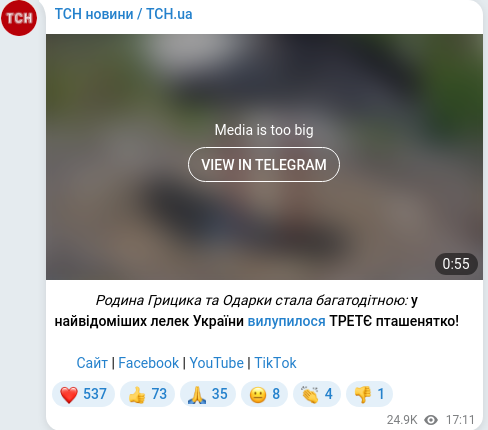 Скріншот Telegram-публікації