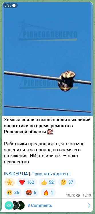 Скріншот Telegram-публікації: Хомяка сняли с высоковольтных линий энергетики во время ремонта в Ровенской обл…