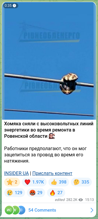 Скріншот Telegram-публікації: Хомяка сняли с высоковольтных линий энергетики во время ремонта в Ровенской обл…