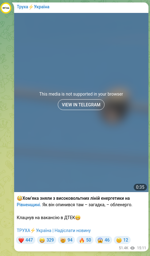 Скріншот Telegram-публікації: 😳Хомʼяка зняли з високовольтних ліній енергетики на Рівненщині. Як він опинивс…