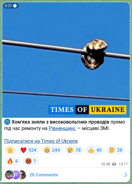 Скріншот Telegram-публікації: ⚡ Хом'яка зняли з високовольтних проводів прямо під час ремонту на Рівненщині,…