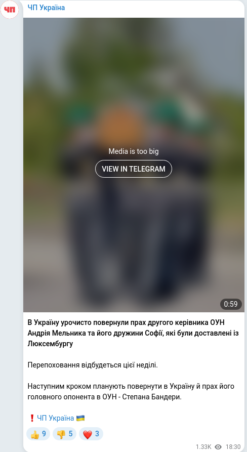 Скріншот Telegram-публікації