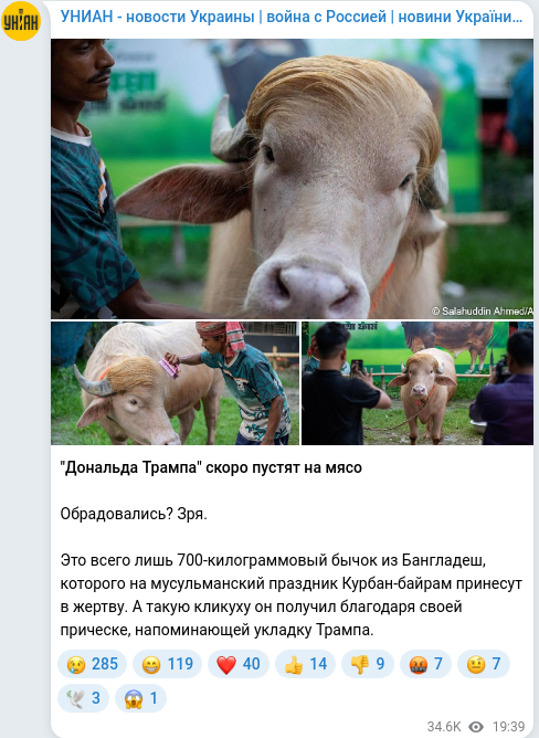 Telegram publication screenshot