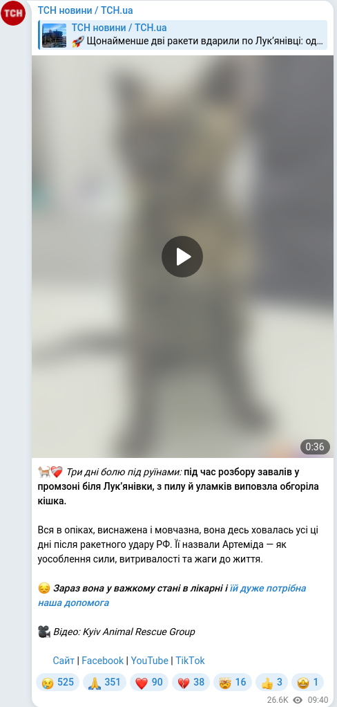Telegram publication screenshot