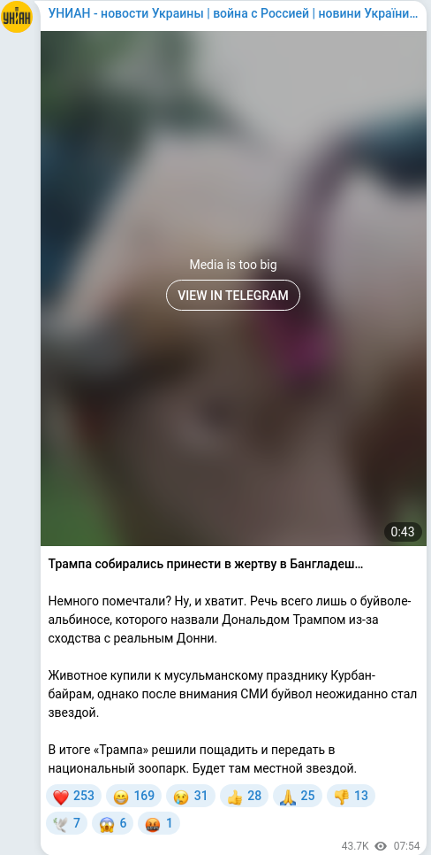 Telegram publication screenshot