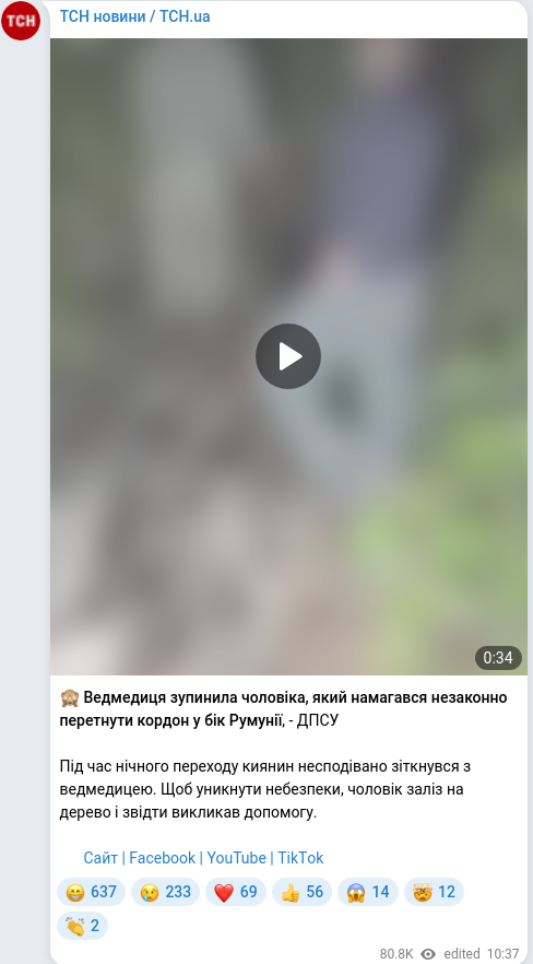 Telegram publication screenshot