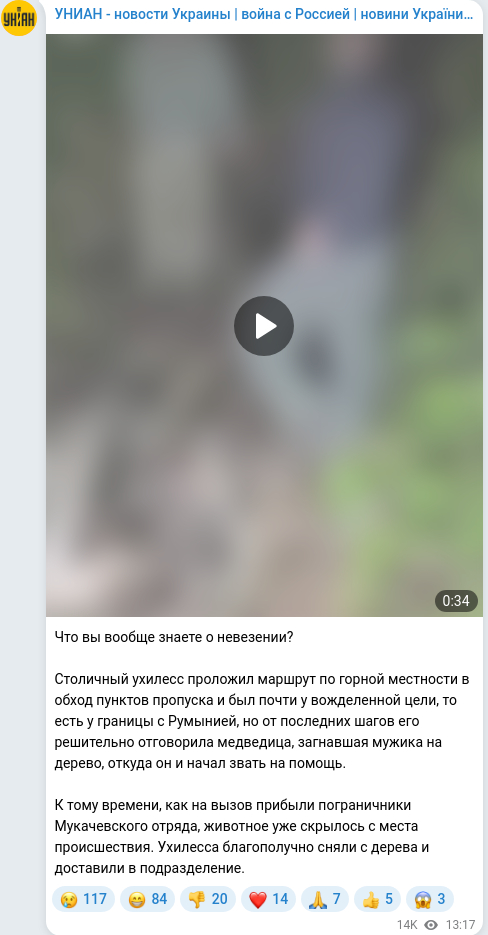 Telegram publication screenshot