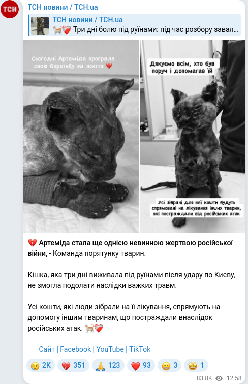 Скріншот Telegram-публікації