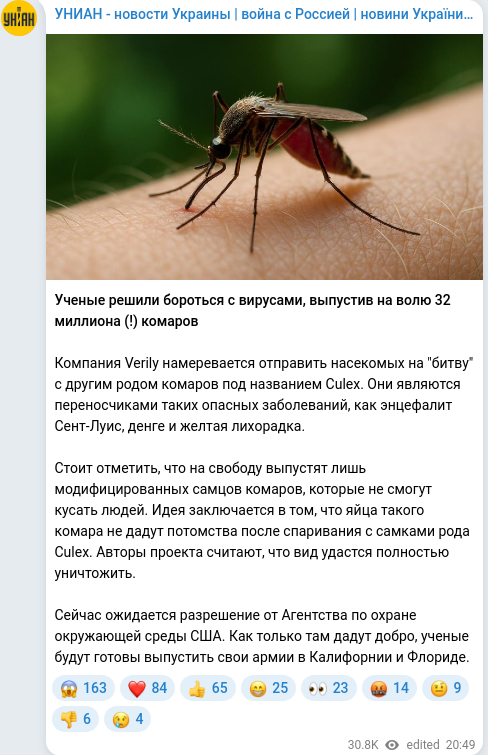 Telegram publication screenshot