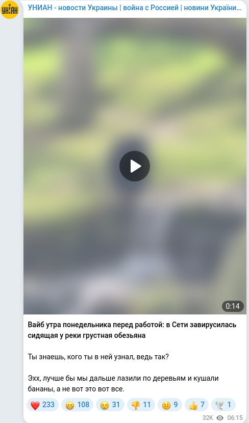 Telegram publication screenshot