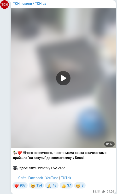 Telegram publication screenshot