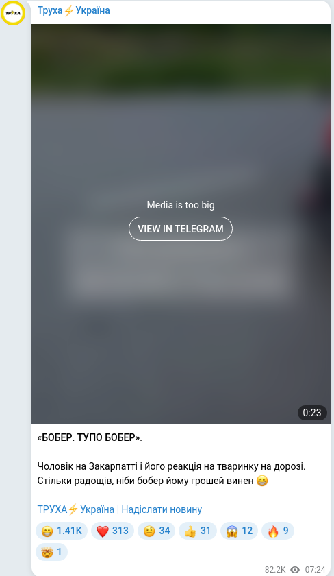 Скріншот Telegram-публікації