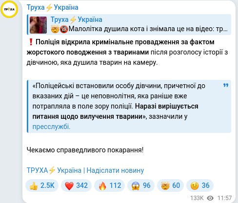 Telegram publication screenshot