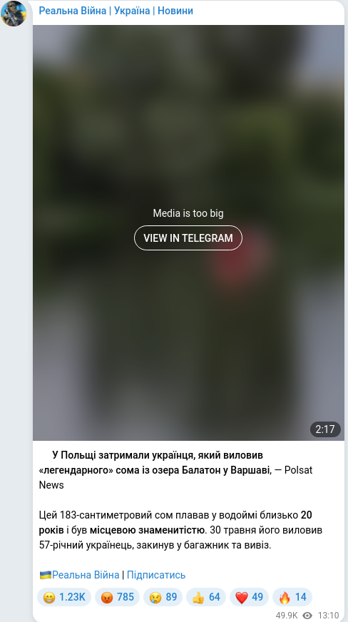 Скріншот Telegram-публікації