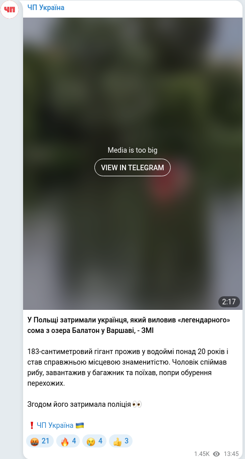 Telegram publication screenshot