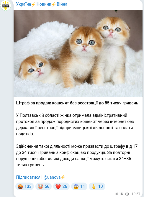 Telegram publication screenshot