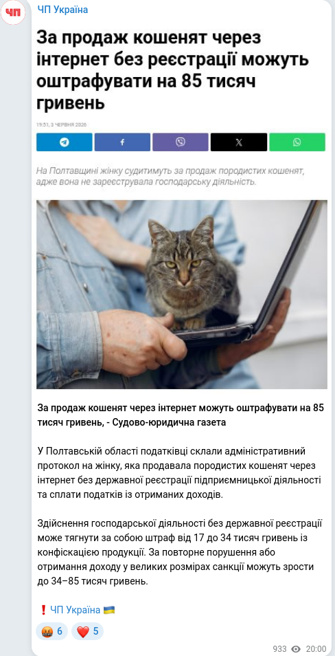Telegram publication screenshot